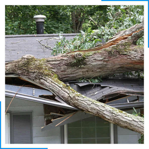 Storm damage cleanup crew removing debris and tarping a damaged roof NWA
